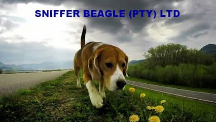 AF1QipMA6MLTTNqQWbAfeCDiZqt48pKwP1Wo7ZzciswXw426 h240 k nodummy